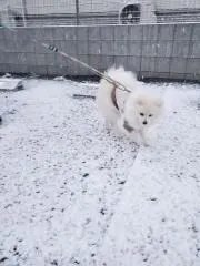 かわきたちゃん❤︎