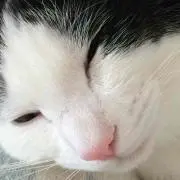 八割れ