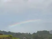 はみみの画像