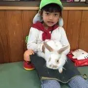 ドウホンカイン