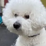 Yuu.の画像