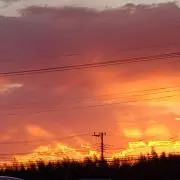 メリー