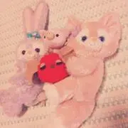 かぼすの画像