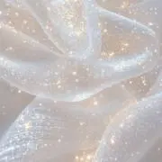 Yの画像