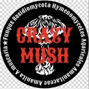 crazy.mushの画像
