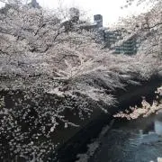 SPARKLEの画像