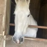 チャッピー ✳︎ プロフ参照お願いしますの画像