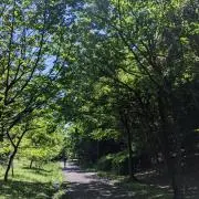 サニーディの画像