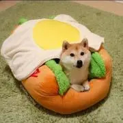 ゆいピー★プロフ必読の画像
