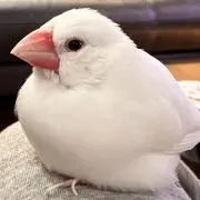 ぼんじです…⭐︎