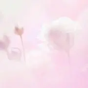 きいちゃん