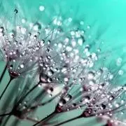 雫☆