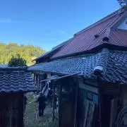 ブライマシェリの画像