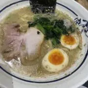 さくらの画像
