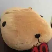 sa(*˘︶˘*).。.:*nanaの画像