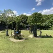 ひろの画像
