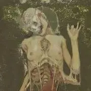 〆〆〆