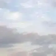 pomの画像
