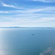 すぅちの画像