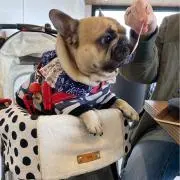まーちゃんの画像