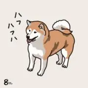 夏の画像