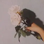 Sの画像