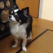 ラッキーママ
