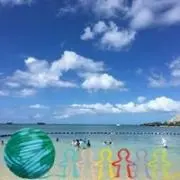 たかの画像