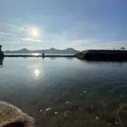 ひよの画像