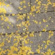 mailの画像