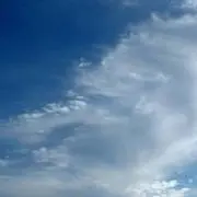 MOの画像
