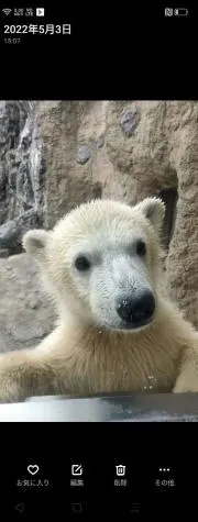paoの画像