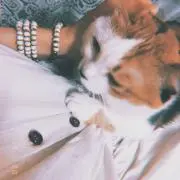 リナの画像