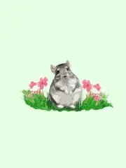 やま☆…要！プロフと在庫確認の画像
