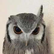 蜜