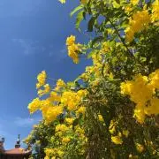 ヤスmeruの画像