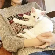 よねの画像