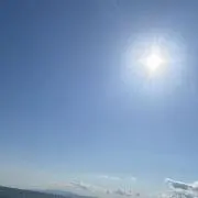 ttの画像