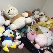 Saitoの画像
