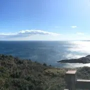 たつ