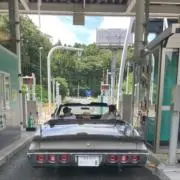 フランシスの画像