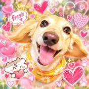 Nanaの画像