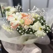 きららの画像