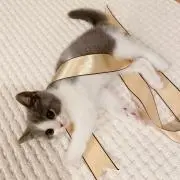 おてむの画像