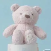 aymの画像