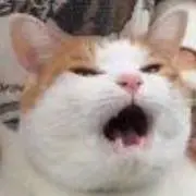 まお