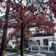 世間万屋の画像