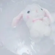 〜。の画像