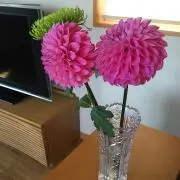 あみこ