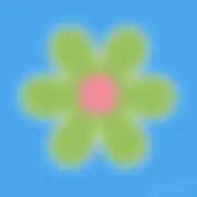 Candyの画像